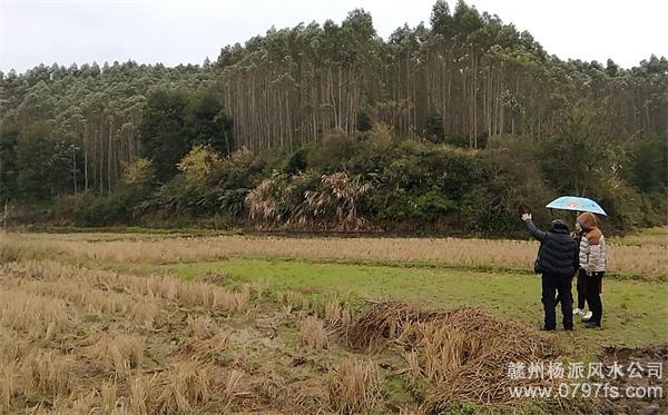 直辖县级陈老师带着爱徒寻龙点穴